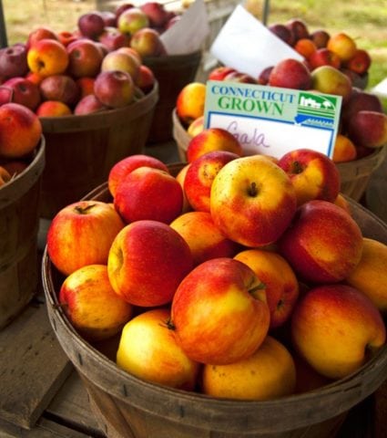 Easy Pickin s Orchard Apple Picking 2Teaspoons