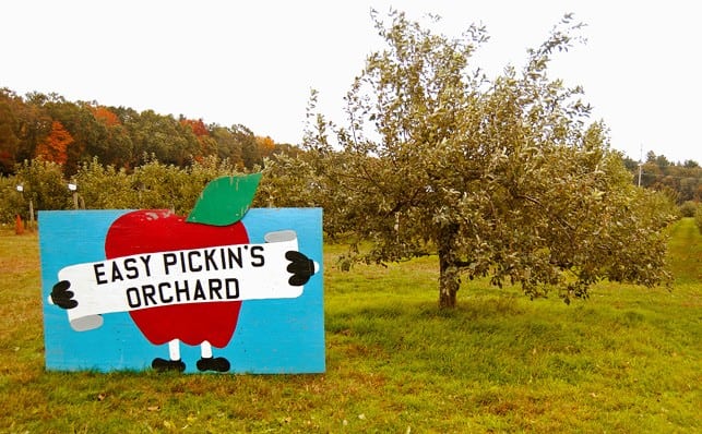 Easy Pickin's Orchard | 2Teaspoons.com
