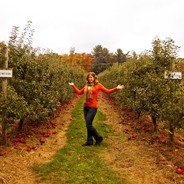 Easy Pickin's Orchard | 2Teaspoons.com