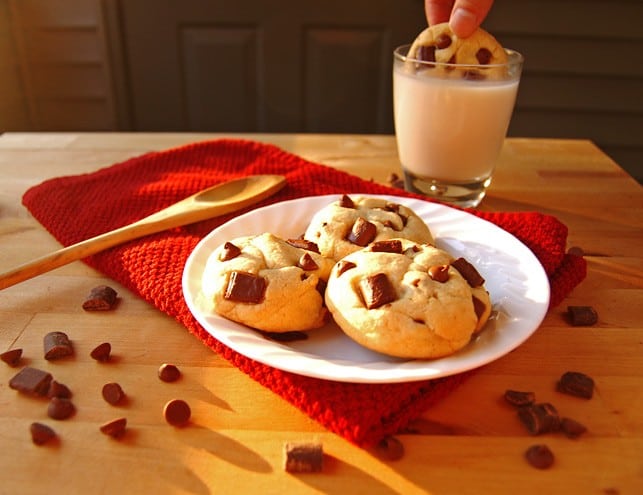 Chewy Chocolate Chip Cookies | 2Teaspoons.com