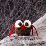 Halloween Spider Cupcakes | 2Teaspoons.com