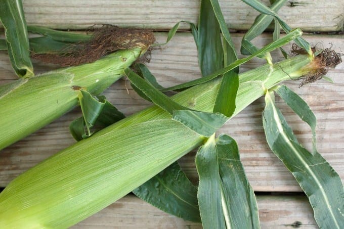 Grilled Sweet Corn on the Cob - 2Teaspoons