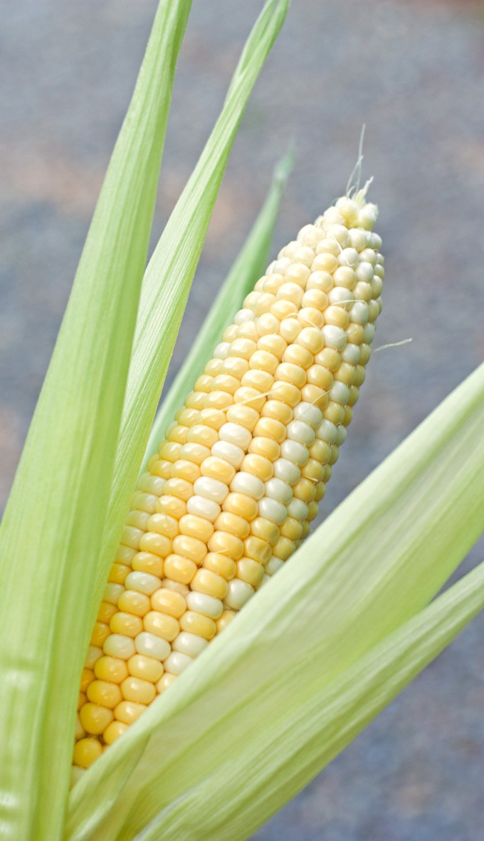 Grilled Sweet Corn on the Cob - 2Teaspoons