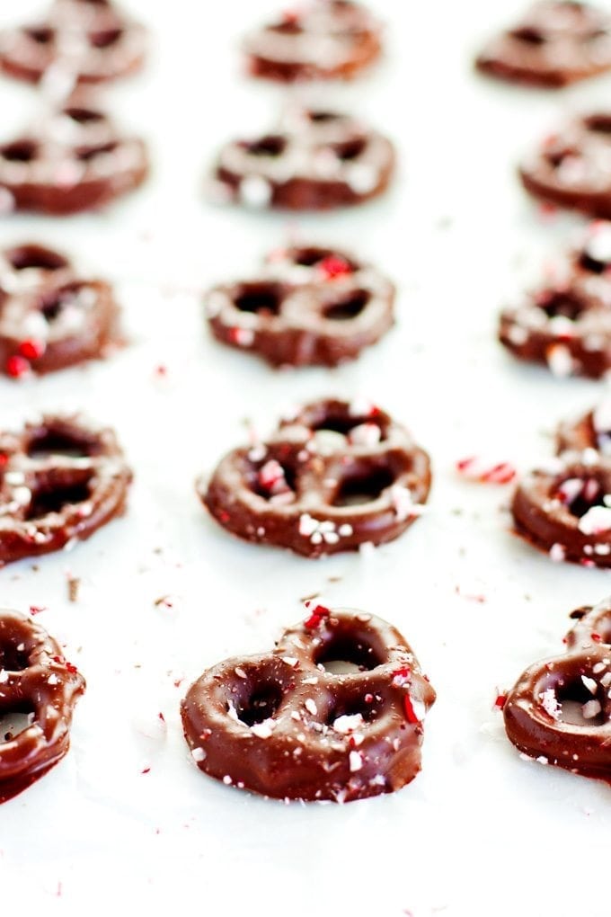 rows of chocolate peppermint pretzels covered in semi-sweet chocolate and crushed candy canes