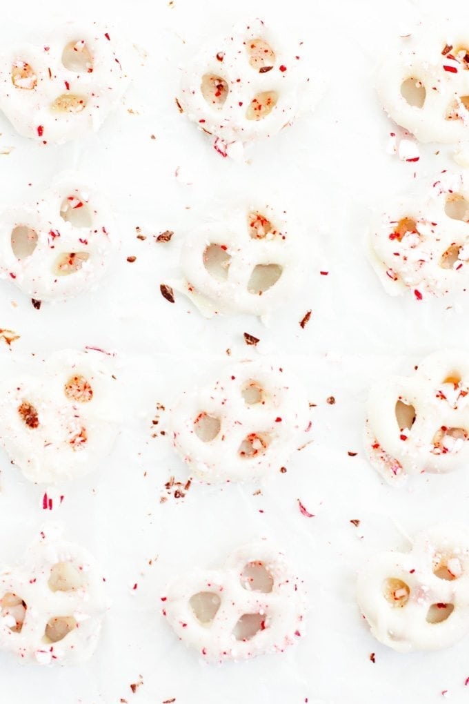 rows of chocolate peppermint pretzels covered in white chocolate and crushed candy canes