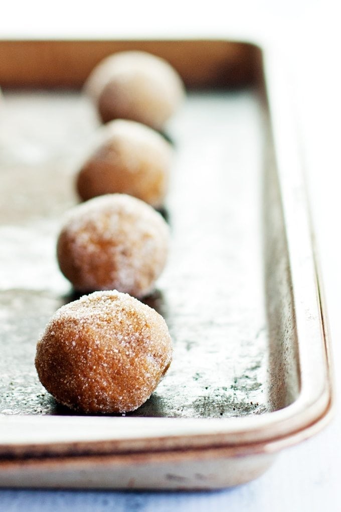 Soft Gingerbread Cookies Before Baking