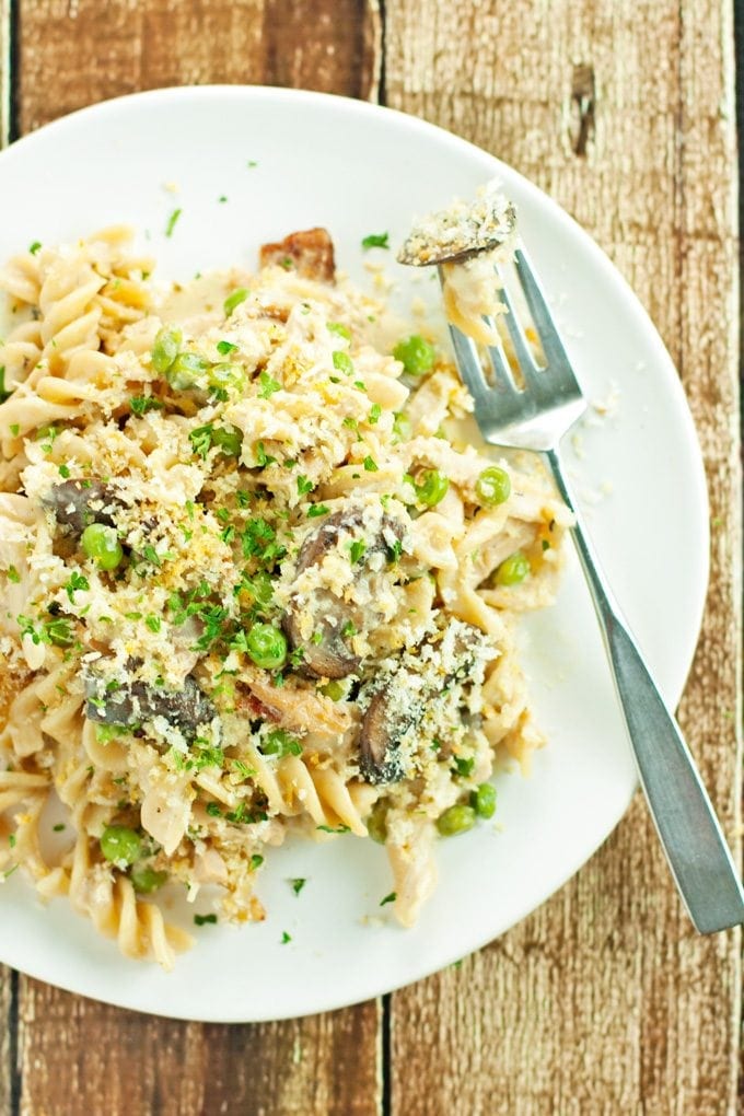 overhead photo of a plate full of chicken tetrazzini. 