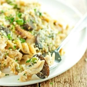 plate and fork full of chicken tetrazzini. Dinner is served!