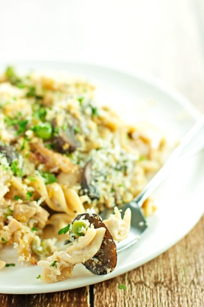 plate and fork full of creamy chicken tetrazzini packed with mushrooms and bacon. Dinner is served!