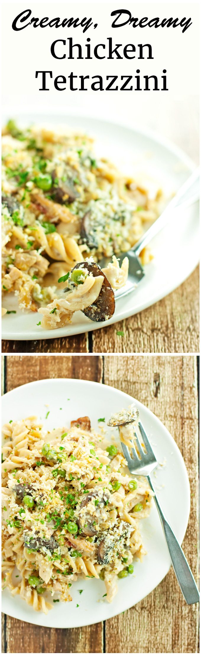 Creamy, dreamy chicken tetrazzini bursting with chicken, mushrooms, peas, and bacon. Dinner is served!